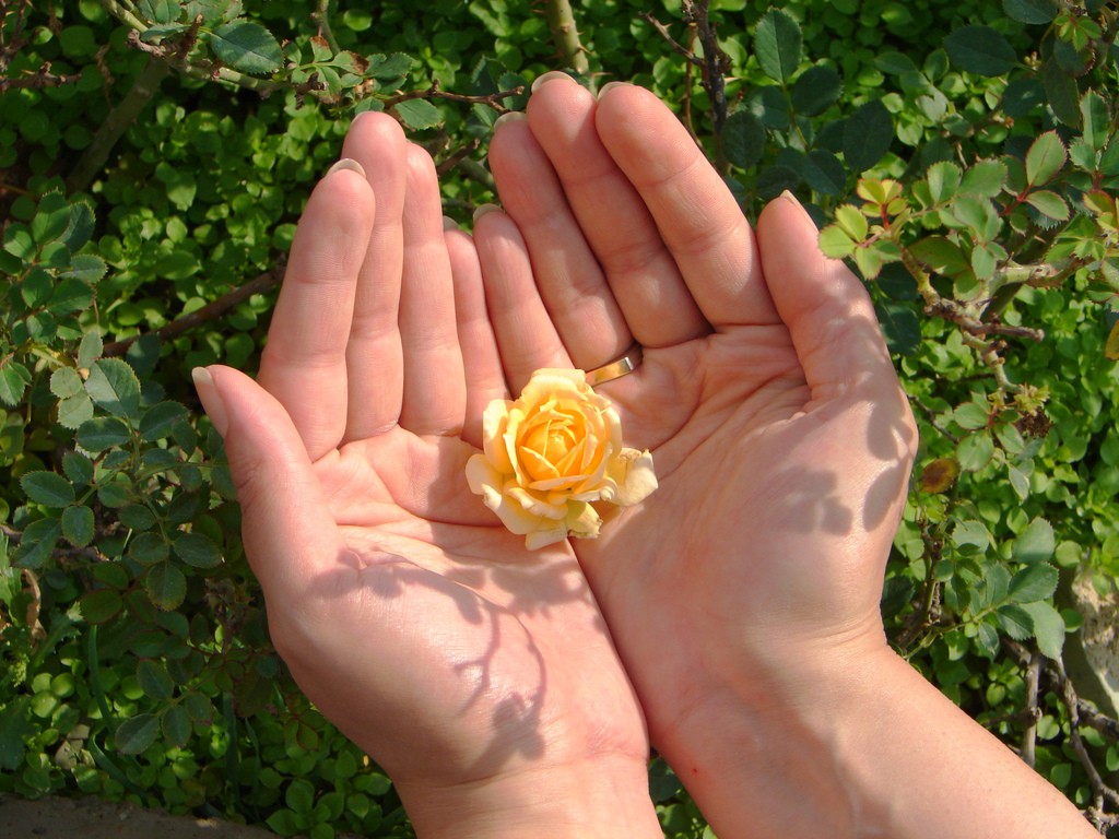 hands