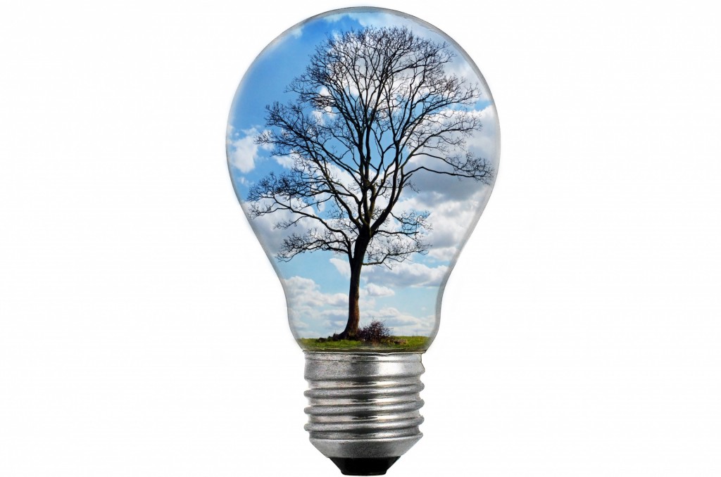 bulb-light-with-tree-1469090491A4w