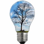 bulb-light-with-tree-1469090491A4w