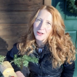 Screen Shot 2018-12-15 at 10.45.10 PM