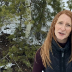 Screen Shot 2020-04-18 at 3.43.01 PM